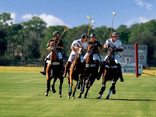 A game of Polo is in progress, with horses and their jockey's clustered closely together in mid-play.