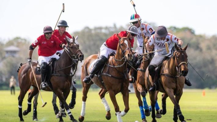 Sarasota Polo Club Photo