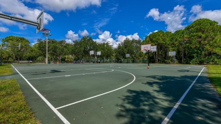 Potter Park Photo