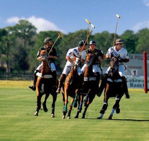 A game of Polo is in progress, with horses and their jockey's clustered closely together in mid-play.