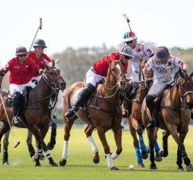 Sarasota Polo Club Photo