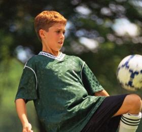 2727_640x480.jpg - Glebe Park. Photo courtesy of Scgov.net Photo